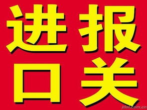 奶粉進(jìn)口代理服務(wù)全解析 上海瑟維斯進(jìn)口報(bào)關(guān)公司引領(lǐng)專(zhuān)業(yè)通關(guān)與翻譯服務(wù)