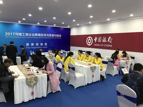 開放的河南歡迎您，專業(yè)翻譯與代理服務(wù)助您無憂前行